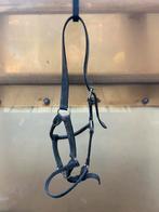 Leren halster maat cob, Dieren en Toebehoren, Ophalen of Verzenden, Zo goed als nieuw, Overige soorten