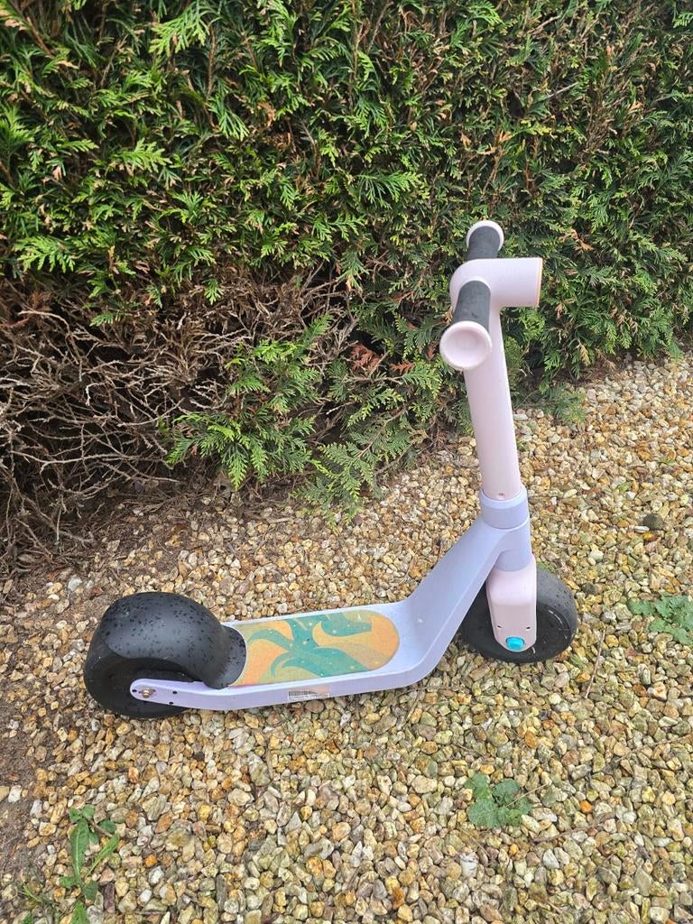 Razor Wild Ones Jr Eenhoorn Step - vanaf 30 maanden, Ophalen