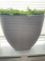 Sierpotten met kunstgroen, 25 tot 40 cm, Rond, Binnen, Ophalen of Verzenden