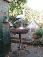 Te huur Ooievaars: 3D ooievaar, op nest, geboortebord, vlag, Hobby en Vrije tijd, Ophalen, Zo goed als nieuw, Overige typen, Geboorte of Huwelijk