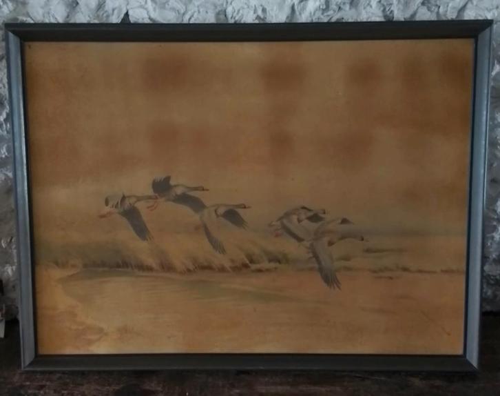 Afbeelding Oostzeekust/ jaren 30 65x45cm, Antiek en Kunst, Kunst | Schilderijen | Klassiek, Ophalen