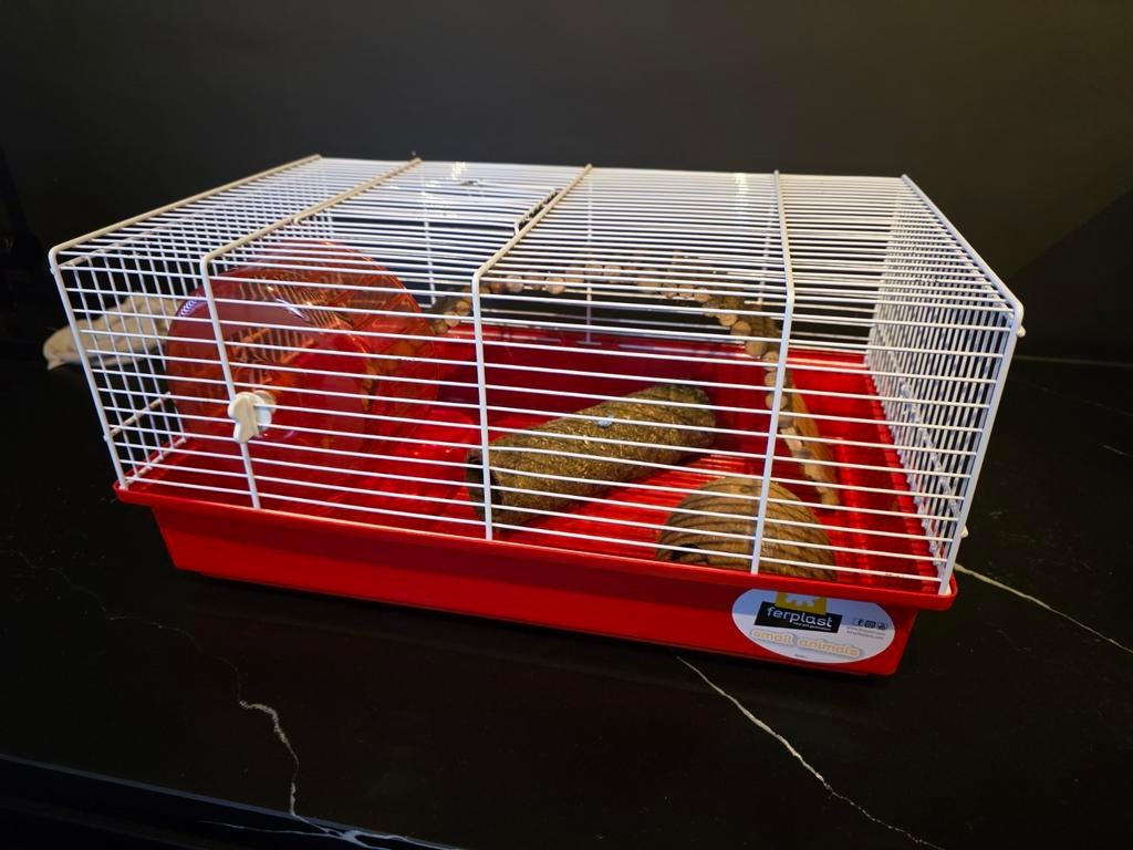 Ferplast Criceti 9 hamsterkooi, Dieren en Toebehoren, Knaagdieren en Konijnen | Hokken en Kooien, Ophalen, Minder dan 75 cm, Kooi