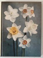 Tumbleweed - L. Blok And Niels Schumm, Ophalen of Verzenden, Zo goed als nieuw, Fotografen