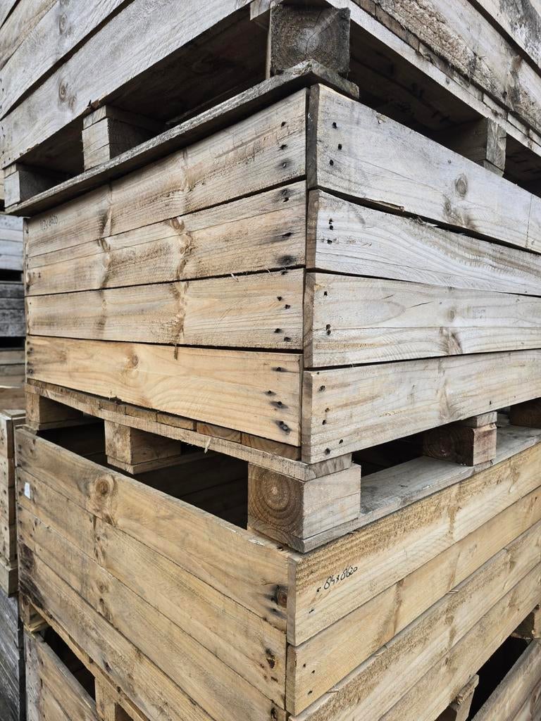 Houten kisten fruitkisten groot export kist  OPRUIMINGSPRIJS, Ophalen, 100 cm of meer, 60 cm of meer, Bak of Kist