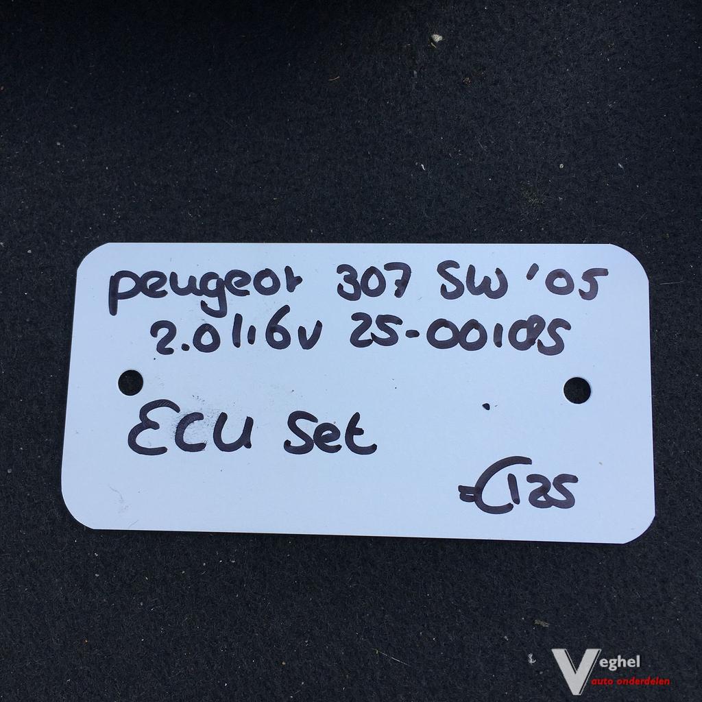 Peugeot 307 Sw 2.0 16v 2005 2500185  ECU Set