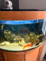 Aquarium, Ophalen, Zo goed als nieuw, Leeg aquarium