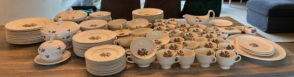 Wedgwood Moss Rose, meer dan een compleet  sevies, Huis en Inrichting, Keuken | Servies, Ophalen, Zo goed als nieuw, Porselein