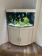 Hoek aquarium compleet jewel trigon 190, Dieren en Toebehoren, Vissen | Aquaria en Toebehoren, Ophalen, Zo goed als nieuw, Gevuld zoetwateraquarium