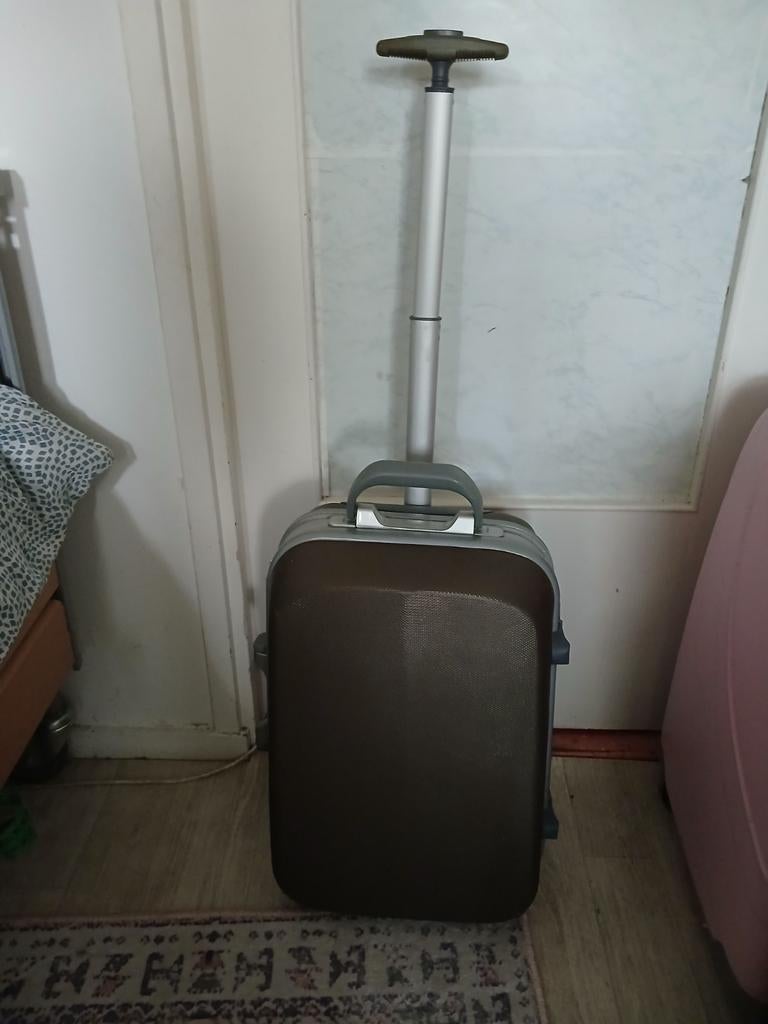 Mooi harde kunste trolley linte 50 breed 33 opruimen, Sieraden, Tassen en Uiterlijk, Koffers, Ophalen, Zo goed als nieuw, Hard kunststof