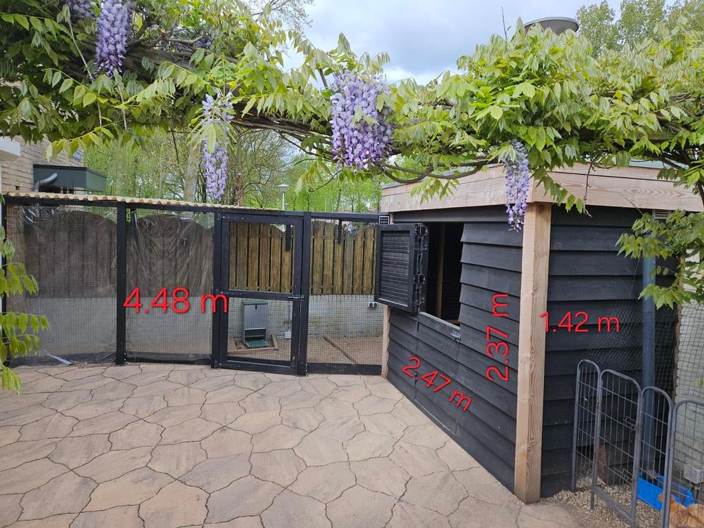 Prachtig kippenhok met ren, Dieren en Toebehoren, Ophalen, Zo goed als nieuw, Kippenhok of Kippenren