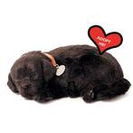 Labrador pup zwart Perfect Petzzz, Info@hopsa.nl, Industrieweg 12, 2254 AE Voorschoten, Nieuw, PlentyGifts