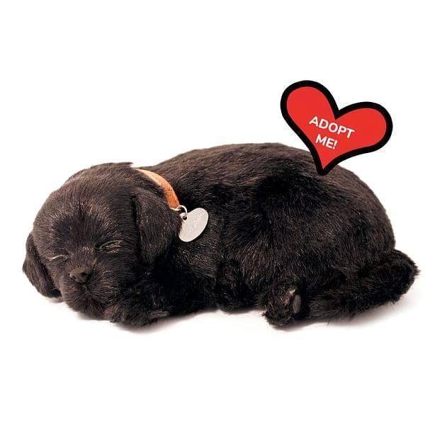 Labrador pup zwart Perfect Petzzz, Kinderen en Baby's, Speelgoed | Knuffels en Pluche, Nieuw, Hond, Ophalen of Verzenden