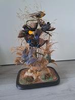 Victoriaanse opgezette vogels antieke stolp taxidermy, Verzamelen, Ophalen, Zo goed als nieuw, Vogel, Opgezet dier