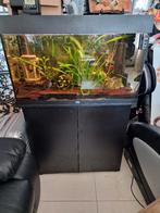 Juwel Aquarium Rio 125 Led 80x35x50 cm, Dieren en Toebehoren, Ophalen, Zo goed als nieuw, Gevuld zoetwateraquarium