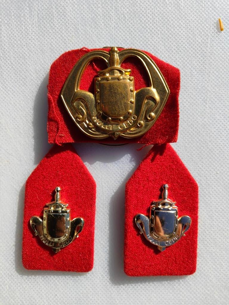 Militair embleem Landmacht 'Nulli Cedo' - 3 stuks, Verzenden, Landmacht, Nederland, Embleem of Badge