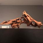 Uniek stuk Kienhout / Driftwood / Spiderwood, Hout Decoratie, Ophalen of Verzenden, Zo goed als nieuw, Plant(en), Steen of Hout