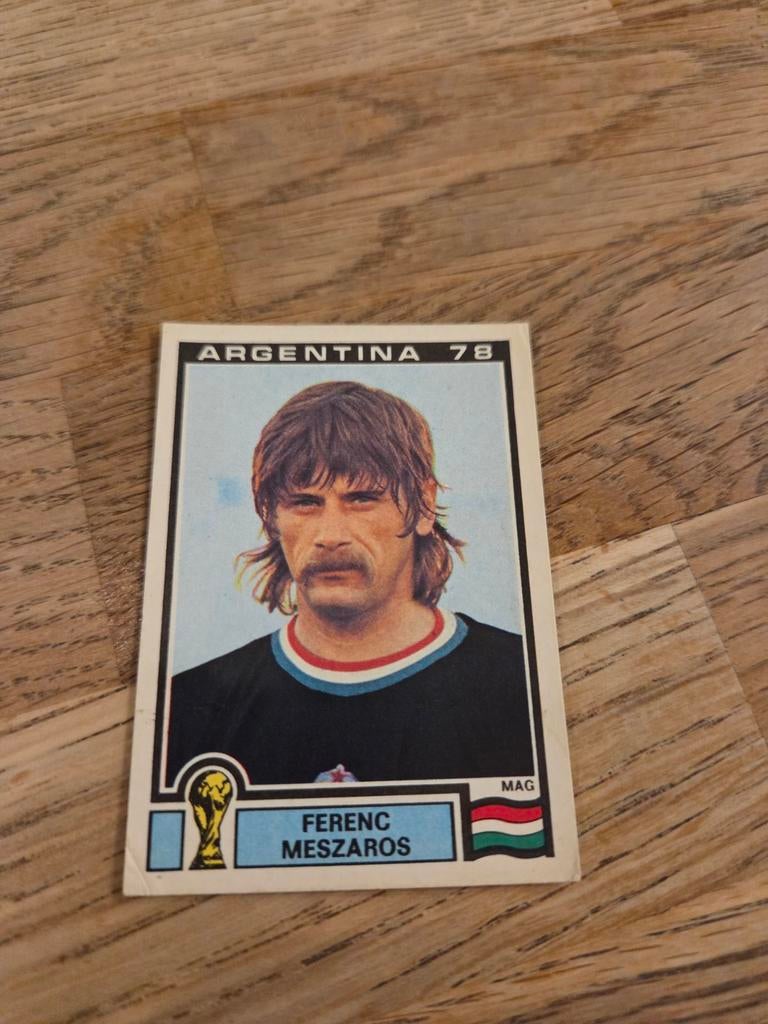 Panini WK 78, Ophalen of Verzenden, Zo goed als nieuw, Buitenlandse clubs, Poster, Plaatje of Sticker