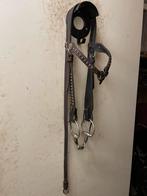 Western hoofdstel, Dieren en Toebehoren, Paarden en Pony's | Hoofdstellen en Tuigage, Ophalen of Verzenden, Zo goed als nieuw