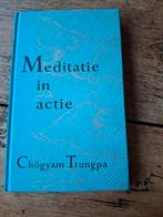 Trungpa - Meditatie in actie, Boeken, Astrologie, Overige typen, Ophalen of Verzenden, Zo goed als nieuw