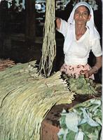 Suriname Kousebandjes /foto Bert de Vries ca. 1967 ., 1960 tot 1980, Ongelopen, Buiten Europa, Verzenden