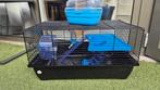 Hamster Kooi, Minder dan 60 cm, Kooi, Minder dan 75 cm, Ophalen of Verzenden