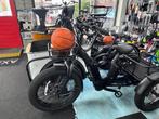 Diablo Big Foot MX5 Driewieler FATBIKE fiets fietsfactory, Ophalen of Verzenden, Nieuw, 50 km per accu of meer, Overige merken