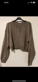 Vest l zara, Kleding | Dames, Truien en Vesten, Zara, Maat 42/44 (L), Ophalen of Verzenden, Zo goed als nieuw