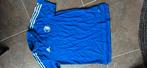 Feyenoord polo blauw, Ophalen of Verzenden, Zo goed als nieuw, Shirt