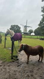Pony activiteiten soest, Hobby en Vrije tijd, Ophalen of Verzenden