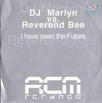 Dj Marlyn vs. Reverend Bee - i have seen the future, Ophalen of Verzenden, Gebruikt, 12 inch, Techno of Trance