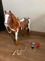 Out generation poppen paard pinto, Ophalen, Zo goed als nieuw