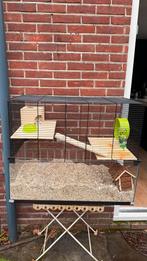 Lieve dwerghamster (mannetje, 2 maanden) + compleet hok, Ophalen, Zo goed als nieuw, Verzorging