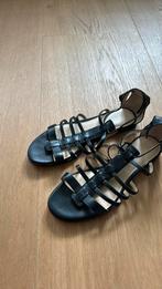 Zwart leren zgan sandalen calvin klein mt 39, Kleding | Dames, Schoenen, Zwart, Zo goed als nieuw, Calvin Klein, Sandalen of Muiltjes