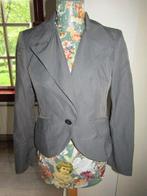 D655 René van der Wijck mt 36 nieuw jasje donkergrijs, Verzenden, René van der Wijck, Nieuw, Jasje