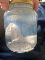 Varkensembryo op Sterk Water - Curiosa Collectie, Antiek en Kunst, Ophalen of Verzenden