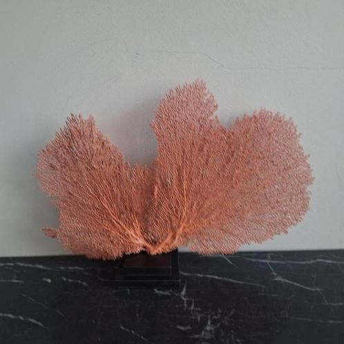 Schitterende zeegras op voet zalm kleurig hotel chique, Huis en Inrichting, Woonaccessoires | Droogbloemen, Nieuw, Ophalen of Verzenden