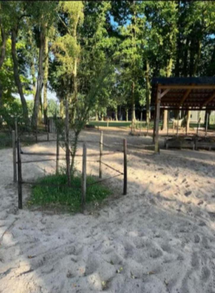 Plekken vrij in Shetland Paddock Paradise in Rhenen, Dieren en Toebehoren, Stalling en Weidegang, 4 paarden of pony's of meer