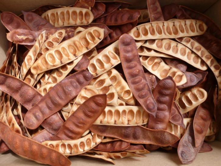 2 x 165 mooie natuurlijke gedroogde ERWTEN/BONEN SCHILLEN(A), Hobby en Vrije tijd, Knutselen, Nieuw, Materiaal, Ophalen of Verzenden