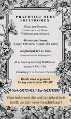 Oude appel- en perenbomen, Tuin en Terras, Planten | Fruitbomen, Ophalen, Appelboom, Lente