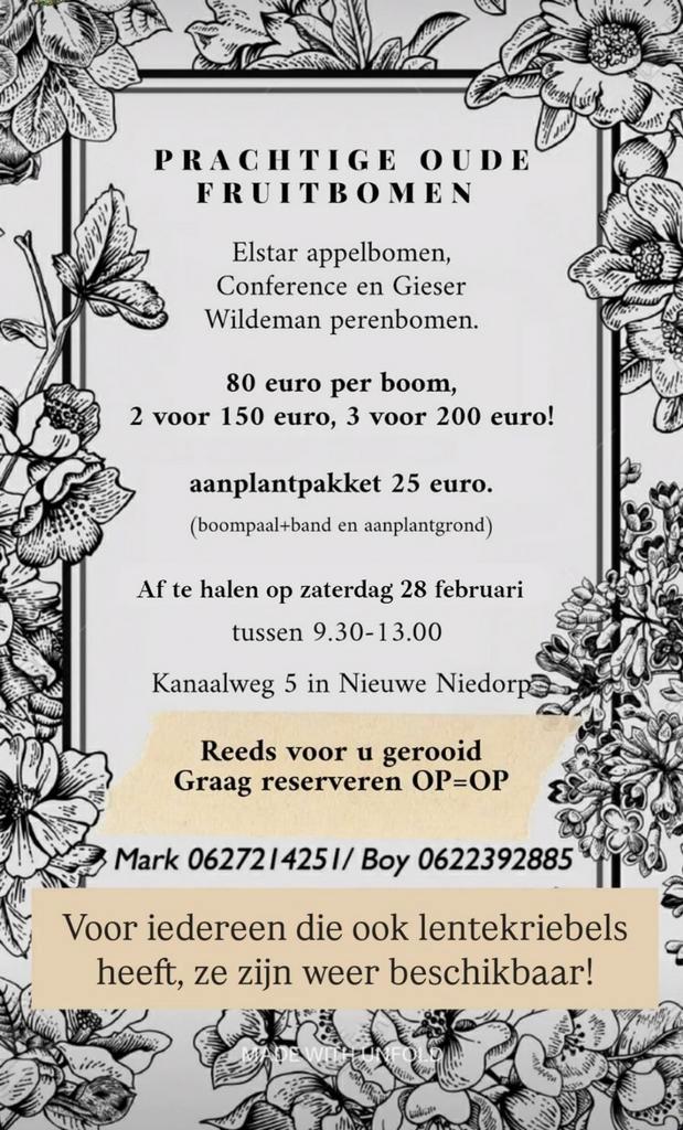 Oude appel- en perenbomen, Tuin en Terras, Planten | Fruitbomen, Appelboom, Lente, Ophalen