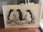 wandplaat Pinguïns, Ophalen of Verzenden, Natuur en Biologie