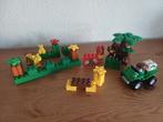 Duplo set in de dierentuin bij de apen en tijgers, Ophalen of Verzenden, Zo goed als nieuw, Losse stenen, Duplo