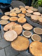 Boomstamschijfjes - Circa 40 stuks - Gedroogd, Ophalen of Verzenden, Gebruikt, Overige typen
