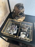 Prachtig Nieuw Display Gevuld Met Kristal En Bodemvondsten, Ophalen of Verzenden, Nieuw