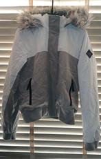 Hollister Jas Maat S, Hollister, Ophalen of Verzenden