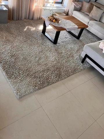 2xvloerkleed-240x340- licht beige beschikbaar voor biedingen