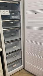 Thomson Vrieskast – RVS, Witgoed en Apparatuur, Vriezers en Diepvrieskisten, Gebruikt, Minder dan 60 cm, 160 cm of meer, Vrijstaand