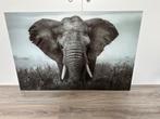 Glas Schilderij Olifant - 120x80 cm, Ophalen, Nieuw, Schilderij, 100 tot 125 cm