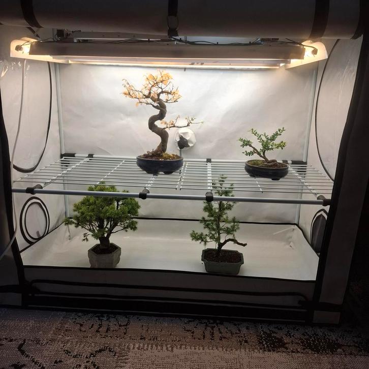 HOMEbox Vista Medium Kweektent met verlichting, Tuin en Terras, Kassen, Ophalen