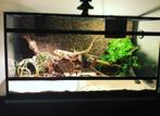 Baardagame terrarium 100-50-50, Dieren en Toebehoren, Reptielen en Amfibieën | Toebehoren, Ophalen, Zo goed als nieuw